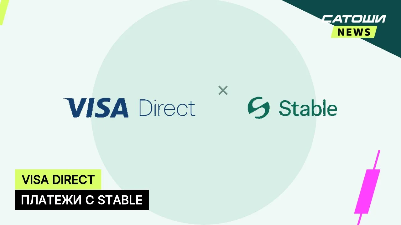#visa #stable #платежи
