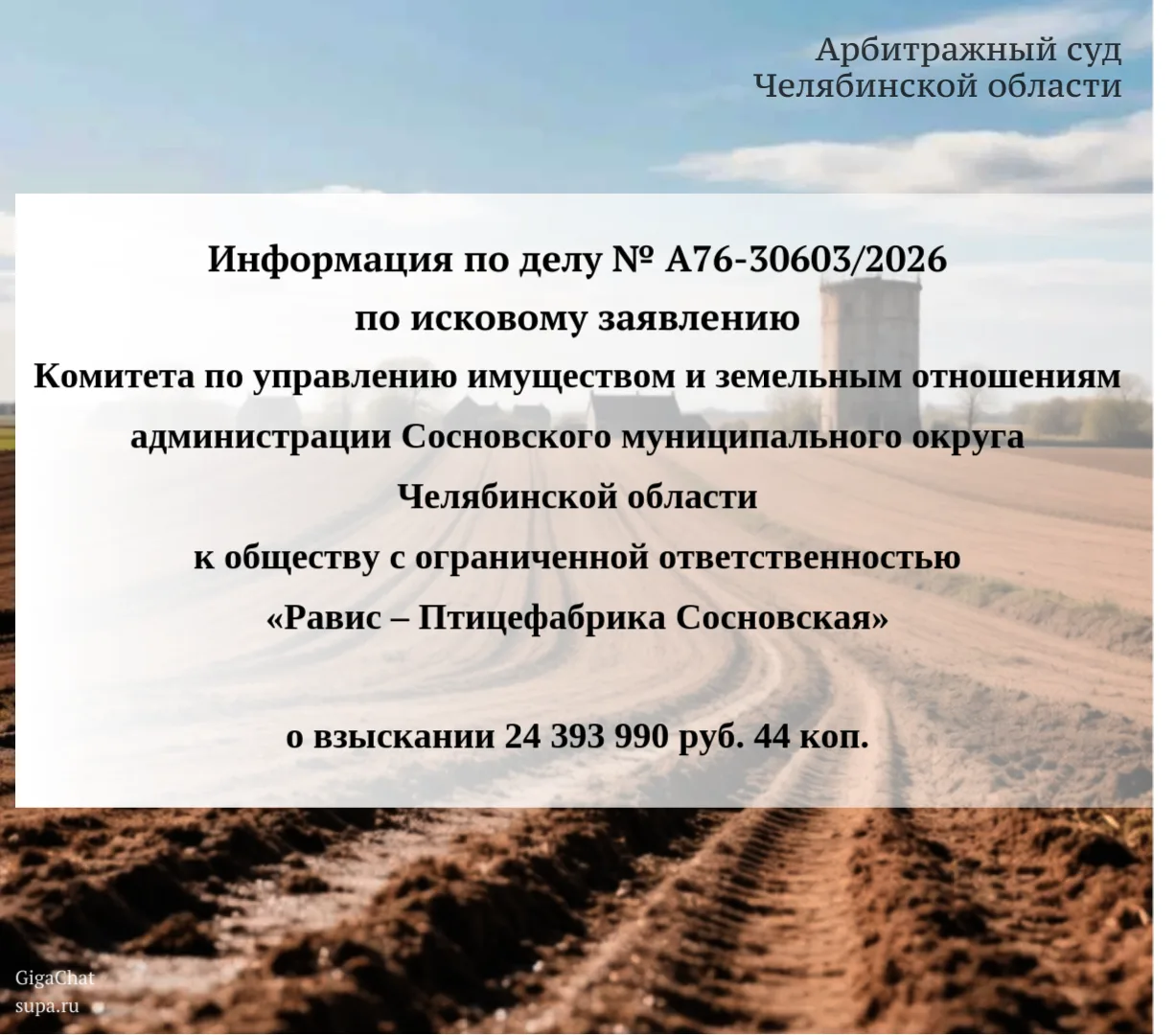 ⚖️   Информация по делу № А76-30603/2026