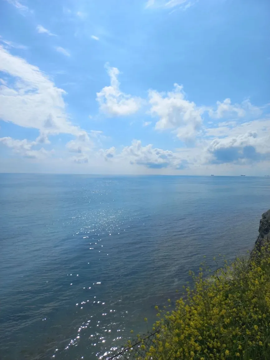 Геленджик радует сегодня солнечной погодой и прекрасными видами ☀️  Красиво, тепло, хорошо — как раз