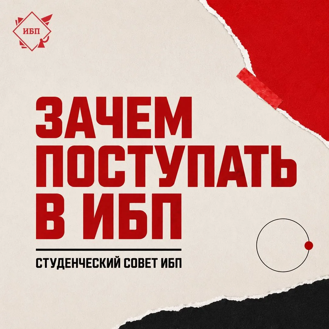 👀 Честный взгляд изнутри: учёба в ИБП глазами студентов!

Хотите узнать, каково это учиться в ИБП? 