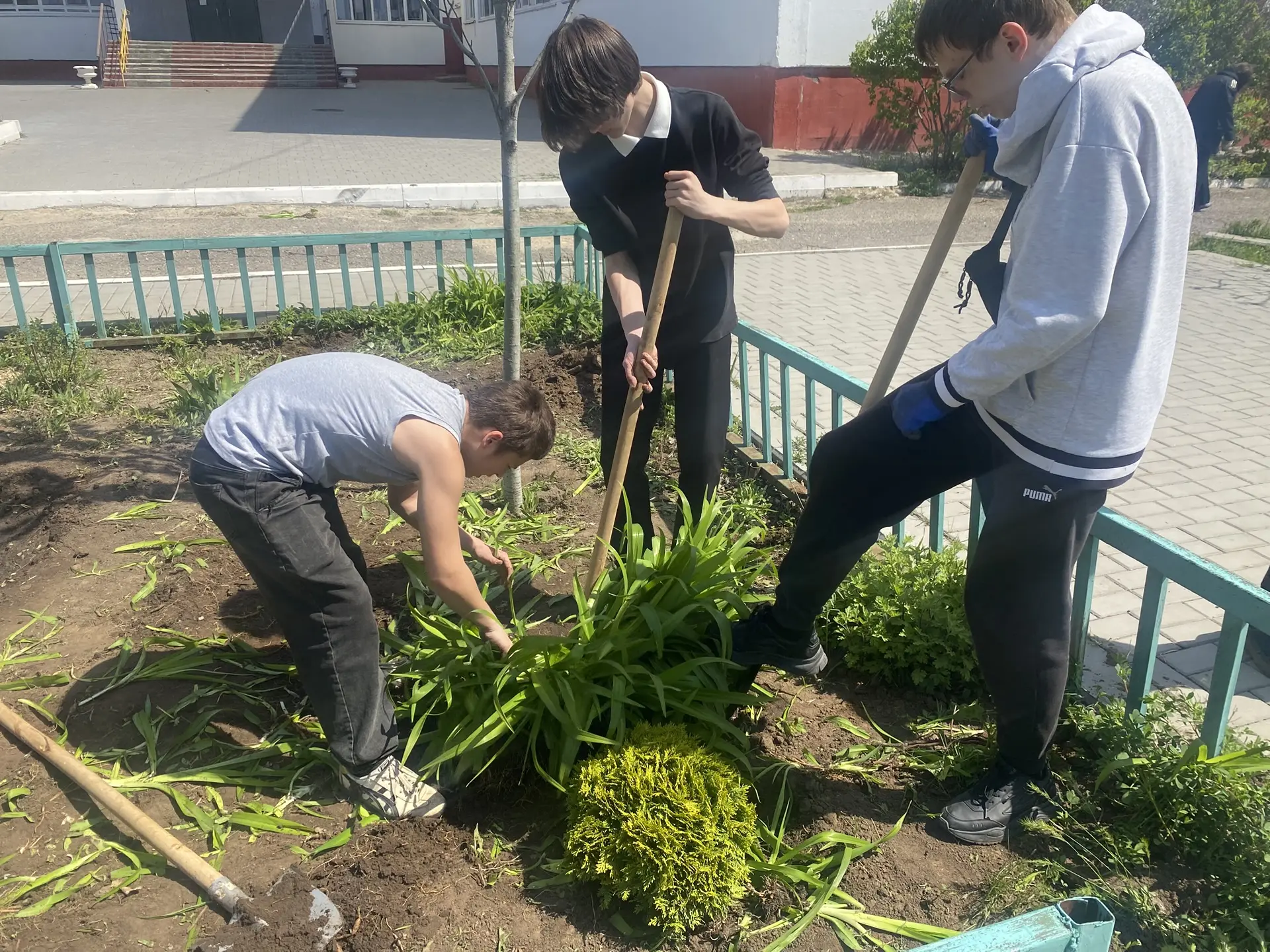 🌳Зеленый школьный двор: обновление нашего общего пространства🌳  💫Наш школьный двор стал заметно зеле