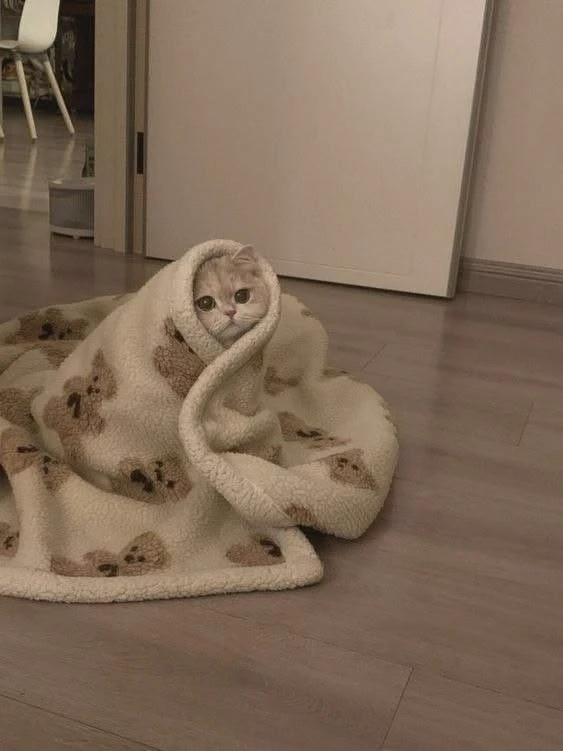 Это я сейчас :