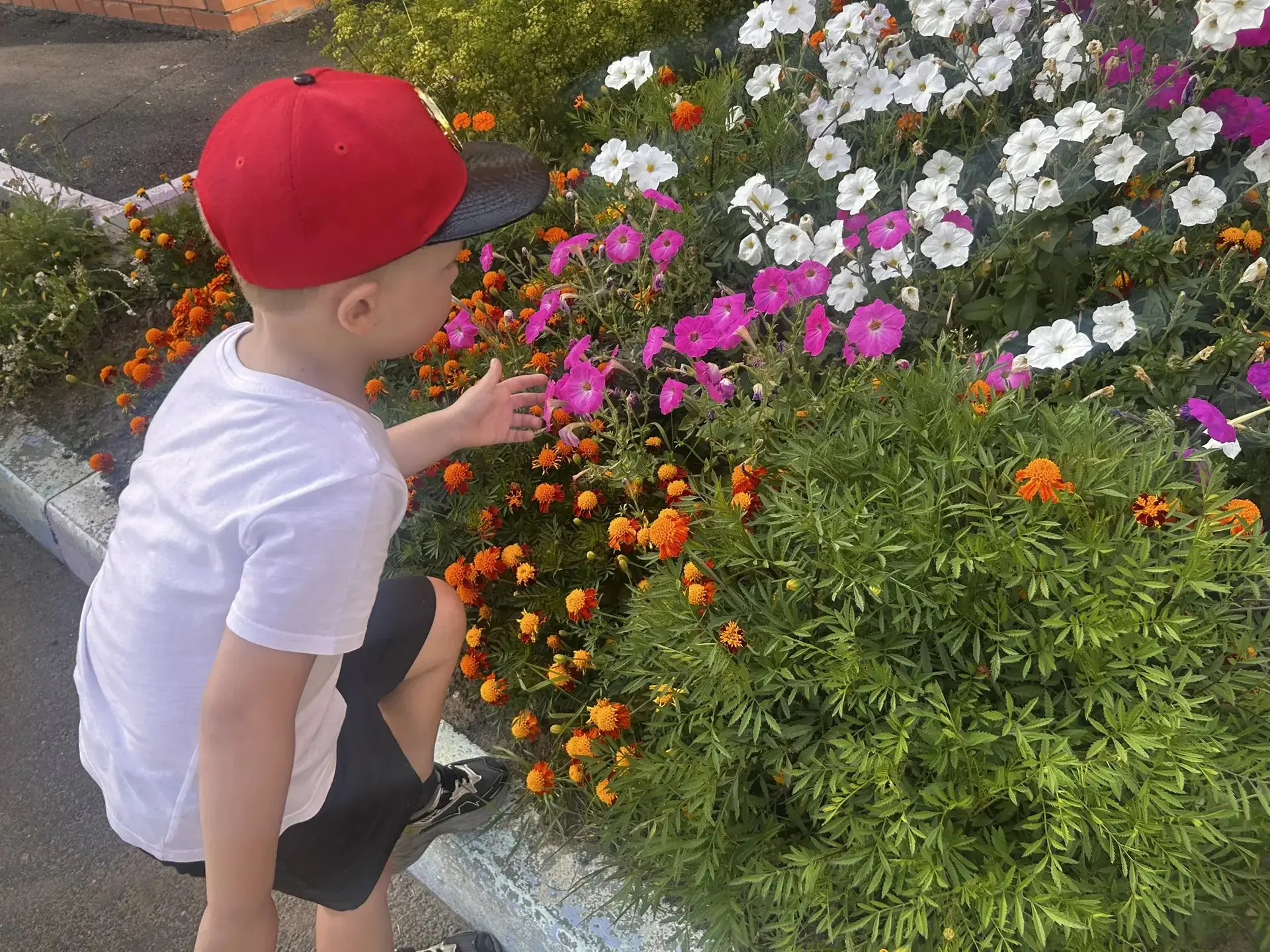 🌸 В группе «Горошинки» прошла чудесная цветочная встреча! 🌸