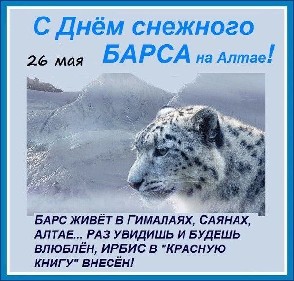 Привет, наши маленькие друзья и их родители!