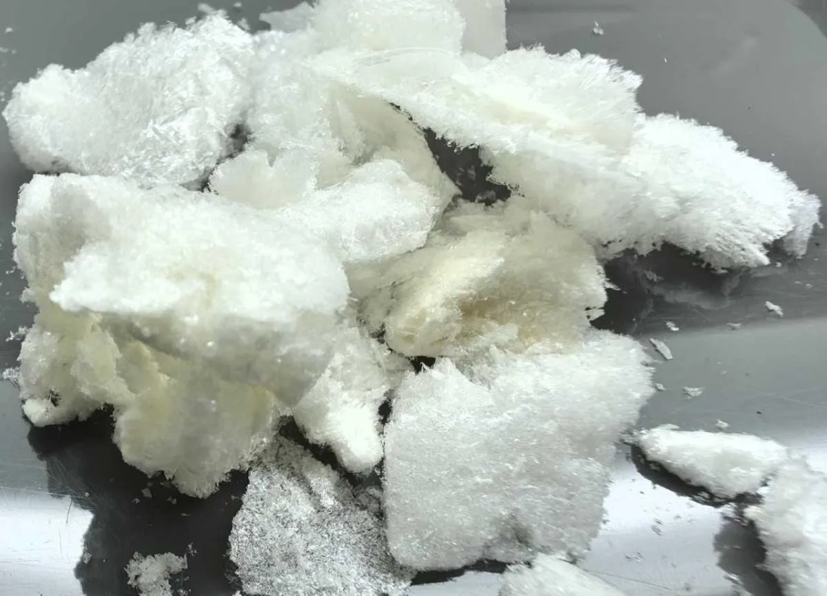 🧪 Учёные САФУ получили грант РНФ на разработку новых пробиотиков  Исследователи университета во глав