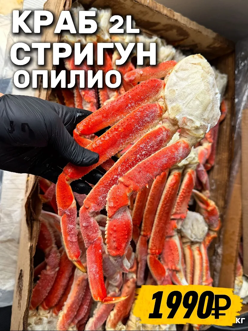 🦀 КЛЕШНИ КРАБА ОПИЛИО

Получили краба стригуна Опилио L2 👌
Крупные клешни, нежное крабовое  мясо и