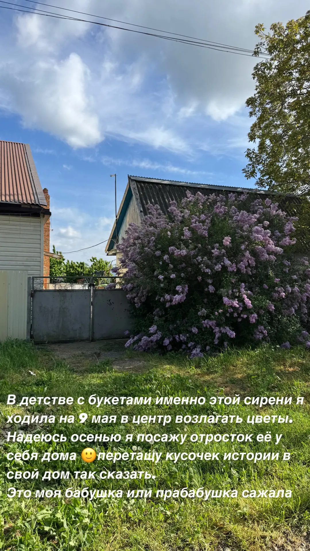 Сегодня решила приехать в гости к папе. Соседка говорит: как тебе везет, что ты вот так можешь приех