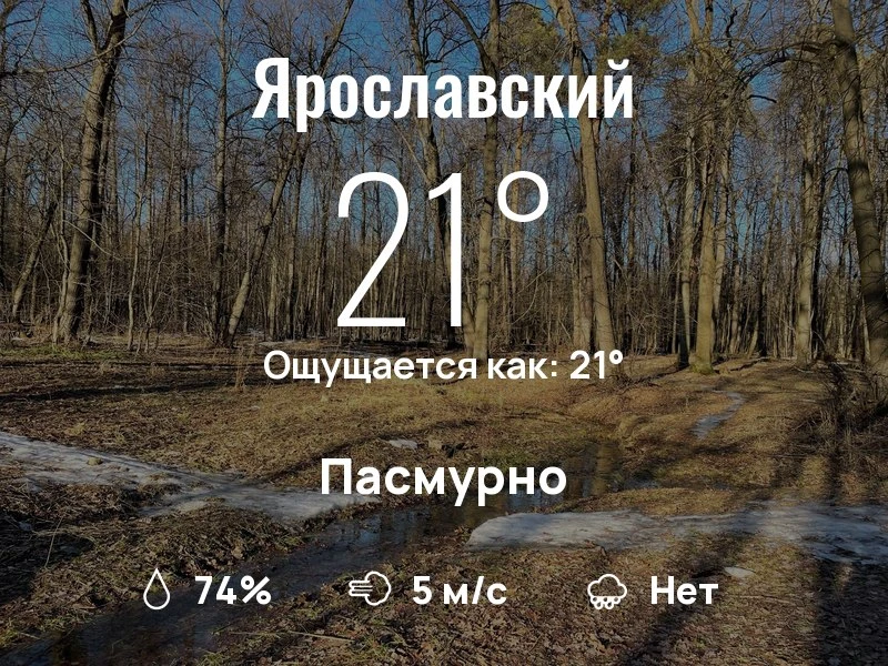 Что с погодой в Ярославском?