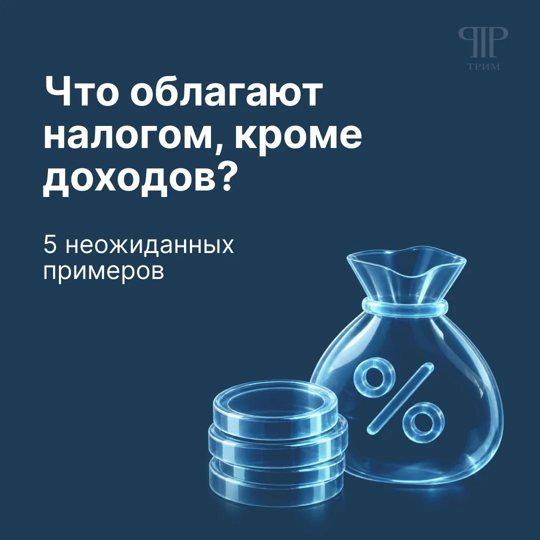 За вывеску, пустую квартиру и купание в горячих источниках: 5 необычных налогов совреме...
