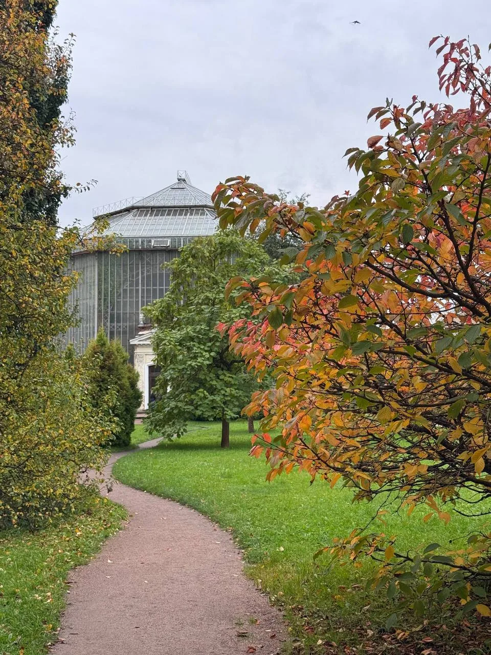 🍁 Осенняя красота в Ботаническом саду