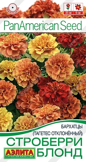 🌼 Встречайте уникальные бархатцы-хамелеоны! 🌼 Эти удивительные цветы способны менять свой окрас в за