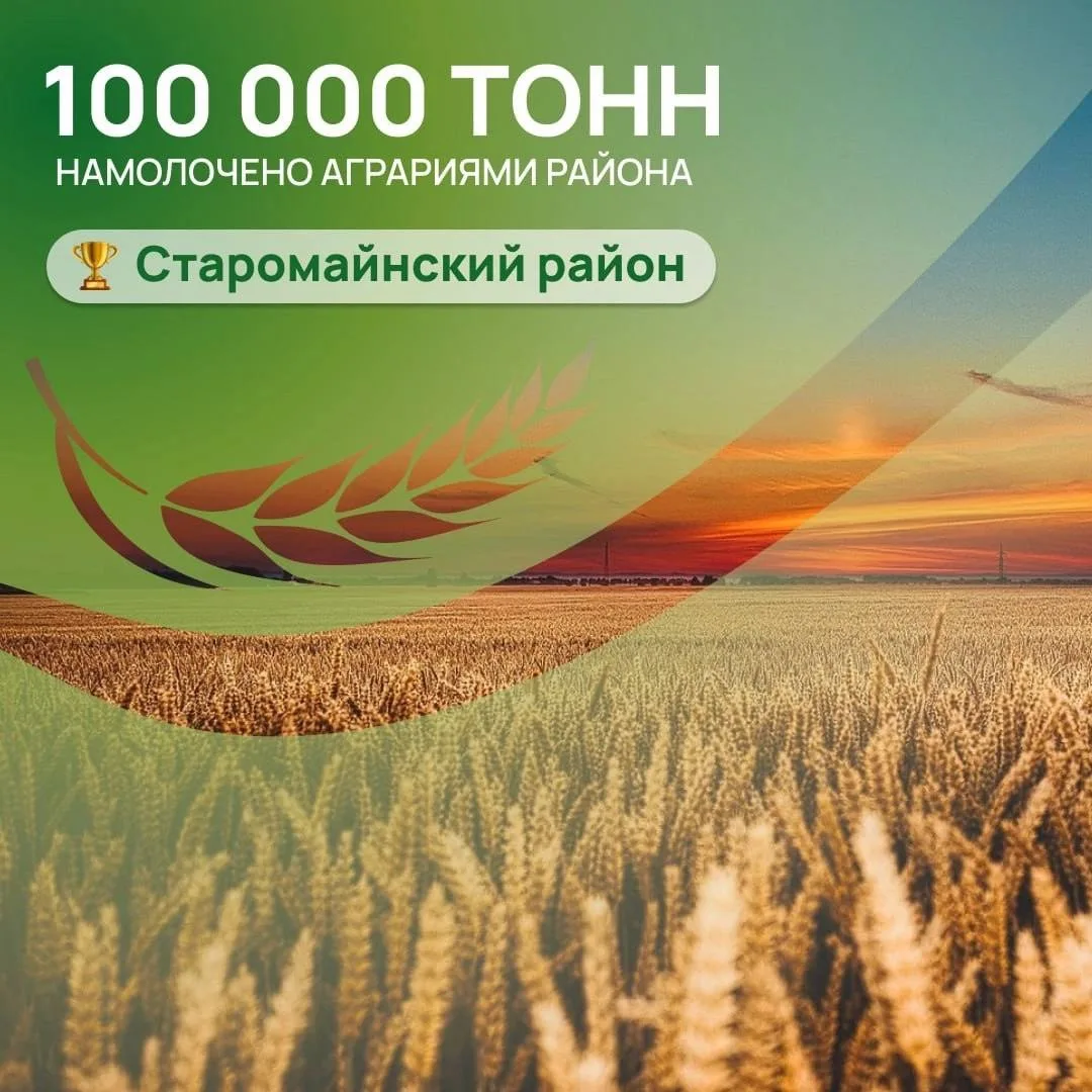 100 тысяч тонн зерна в Старомайнском районе!🌾