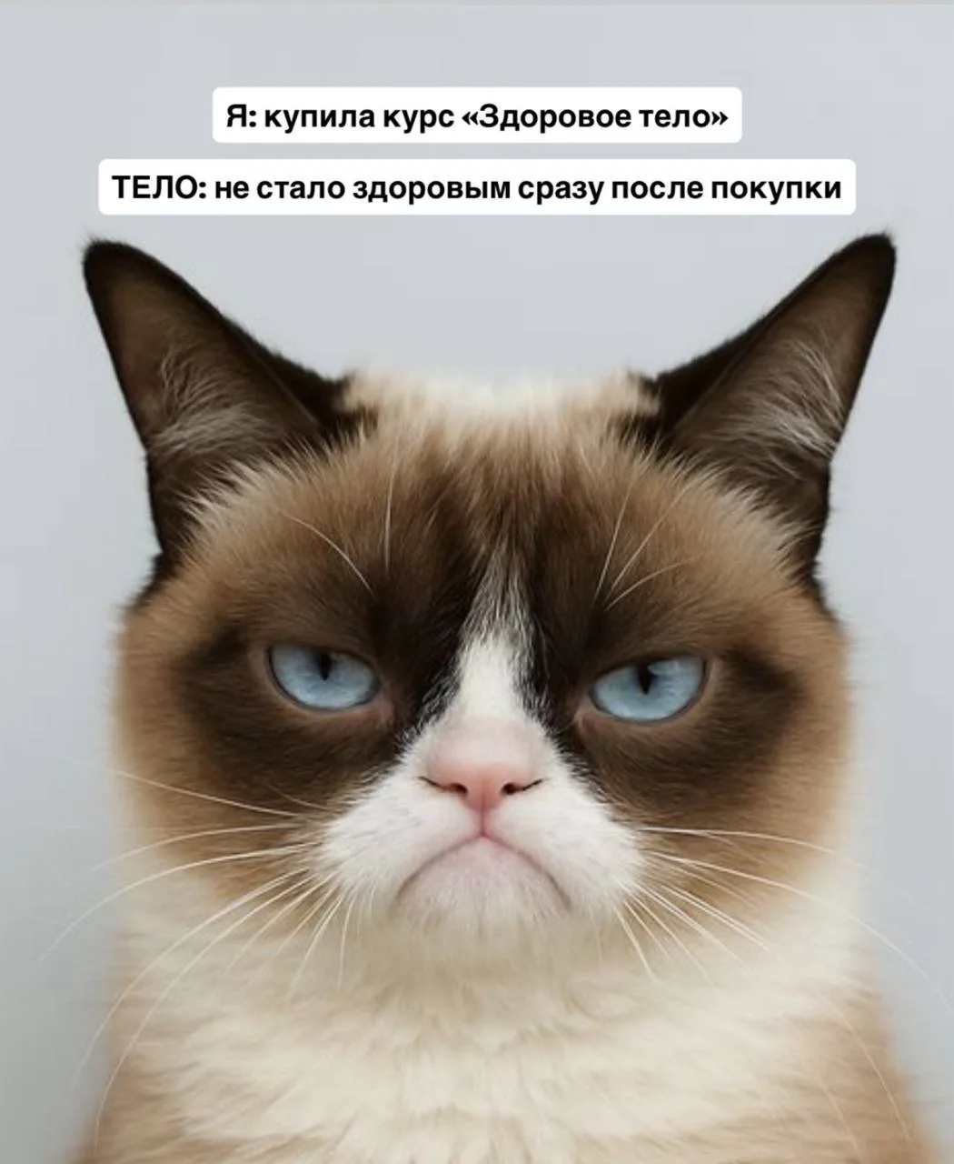 Вчера завершились продажи на курс.