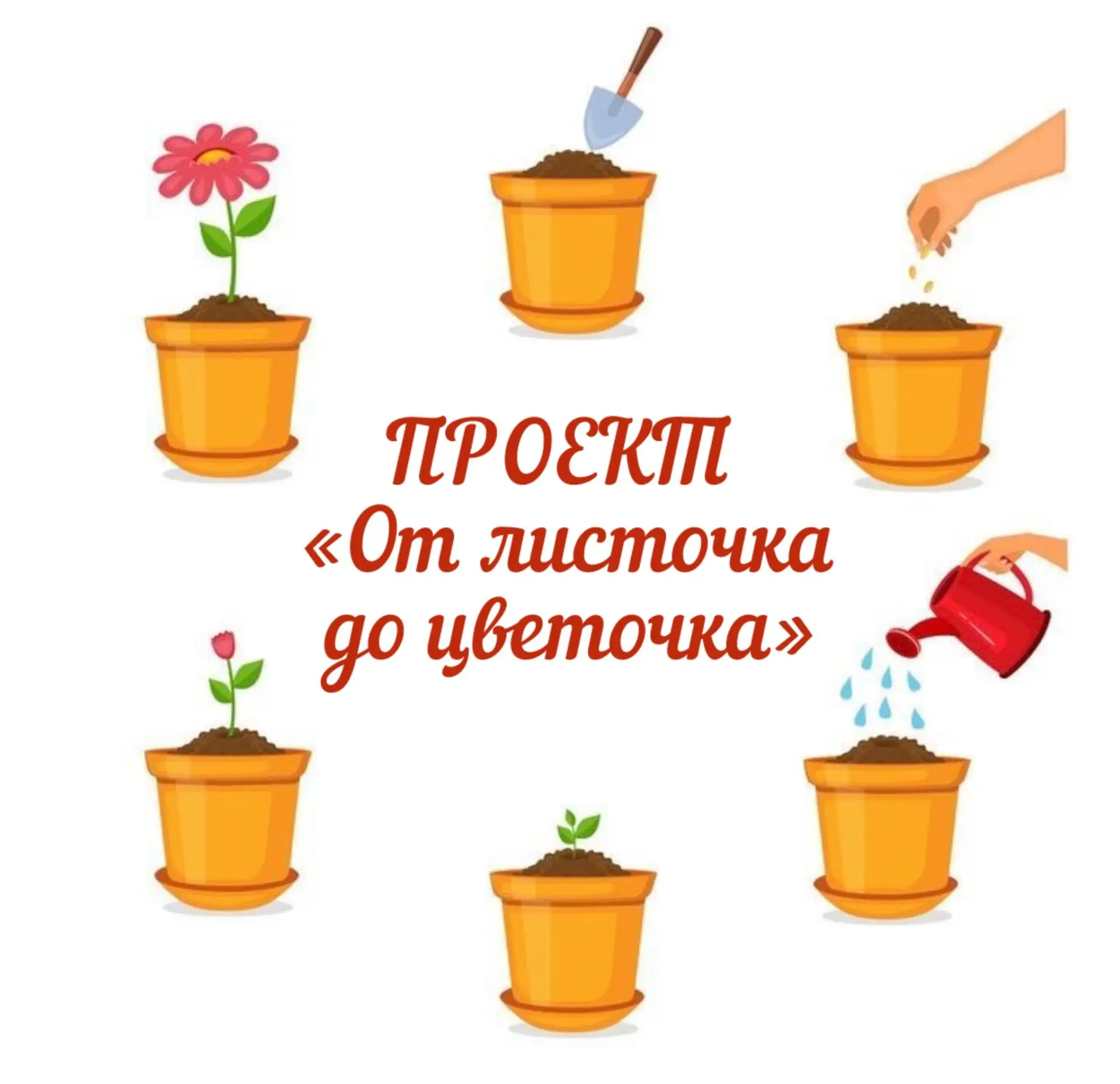 🌺Воспитанники группы «Солнышко» на протяжении нескольких месяцев вели настоящее научное наблюдение 