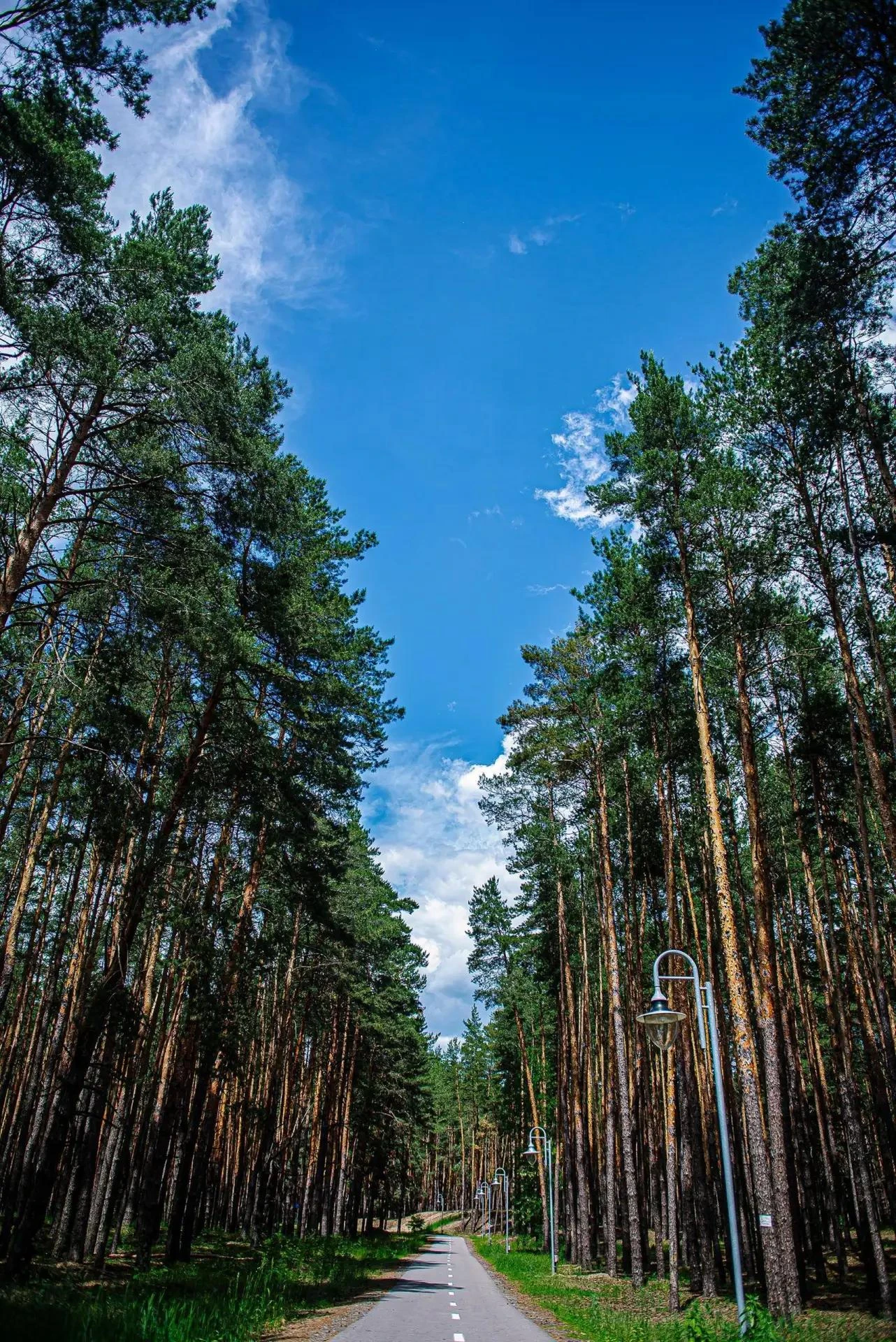 Доброе утро 🥰