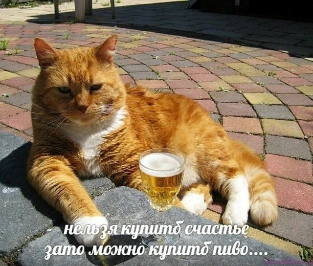 Понедельник надо начинать так, будто это конец пятницы 😃

Такая логика была у создателей сегодняшне