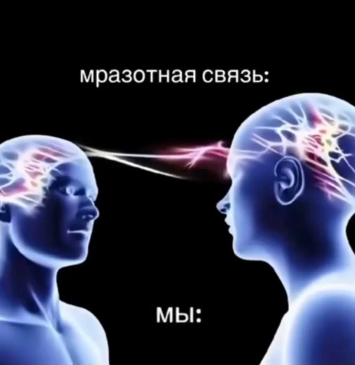 *мы?