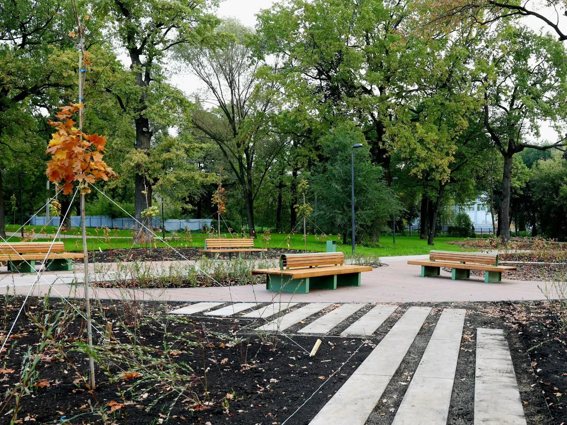 🌳 В парке «Воронежские озёра» принимают работы по благоустройству