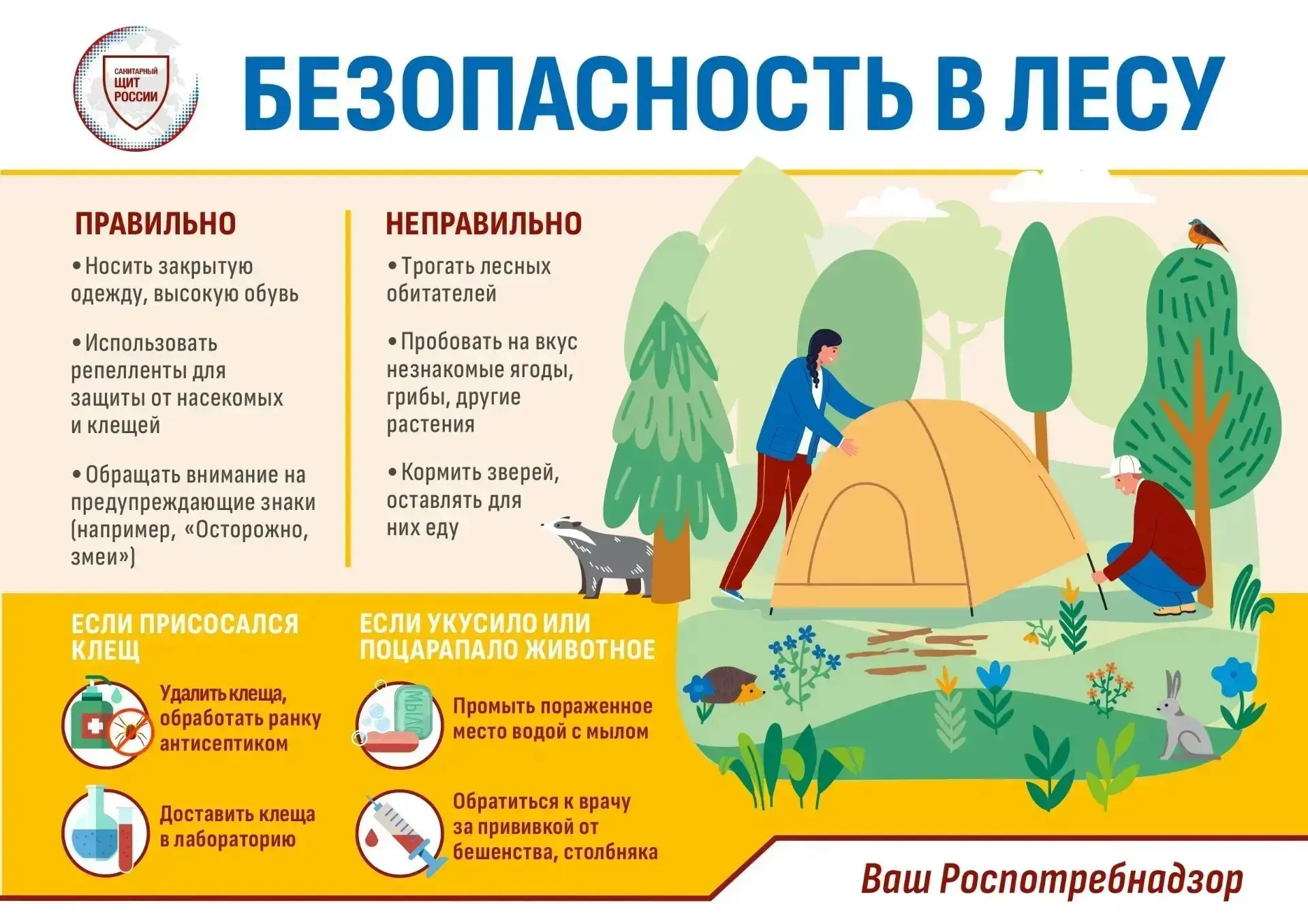 КЛЕЩИ. ЧТО ДЕЛАТЬ, ЕСЛИ ОБНАРУЖИЛИ НА СЕБЕ КЛЕЩА