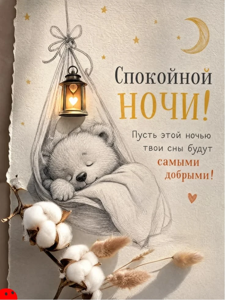 🌜 Доброй ночи!