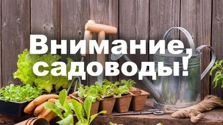 В связи с подъёмом уровня воды в Амуре и возможным подтоплением ряда территорий комсомо...