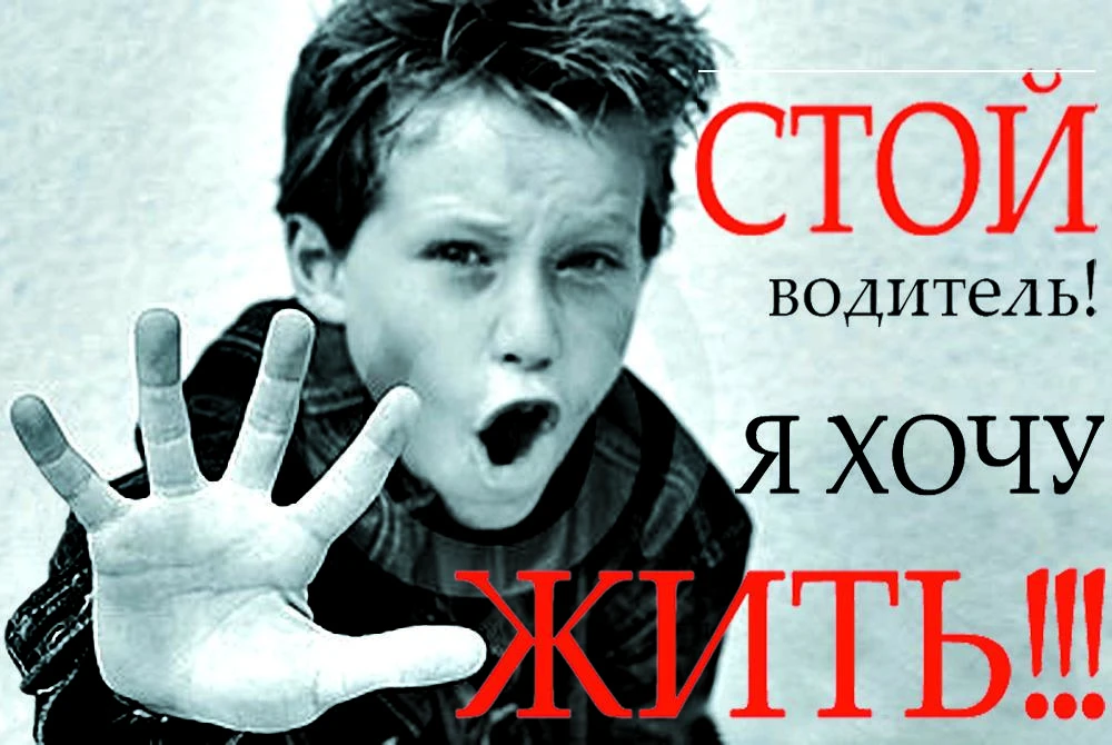 Профилактическое мероприятие «Снова в школу»