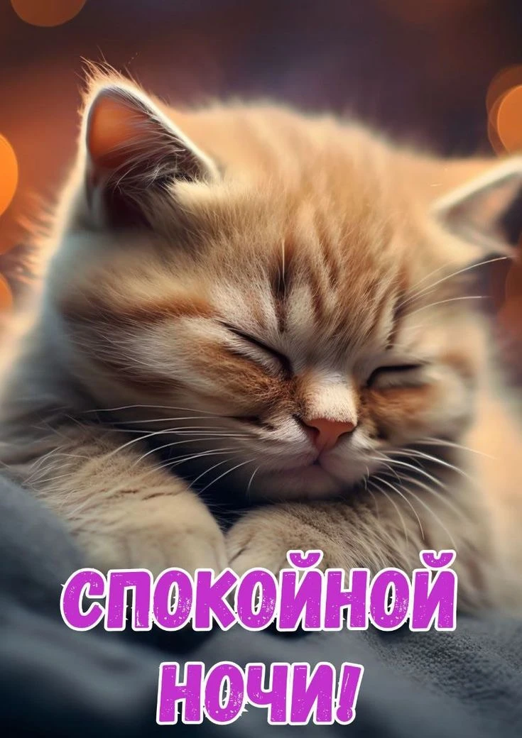 Котаны • подписаться
