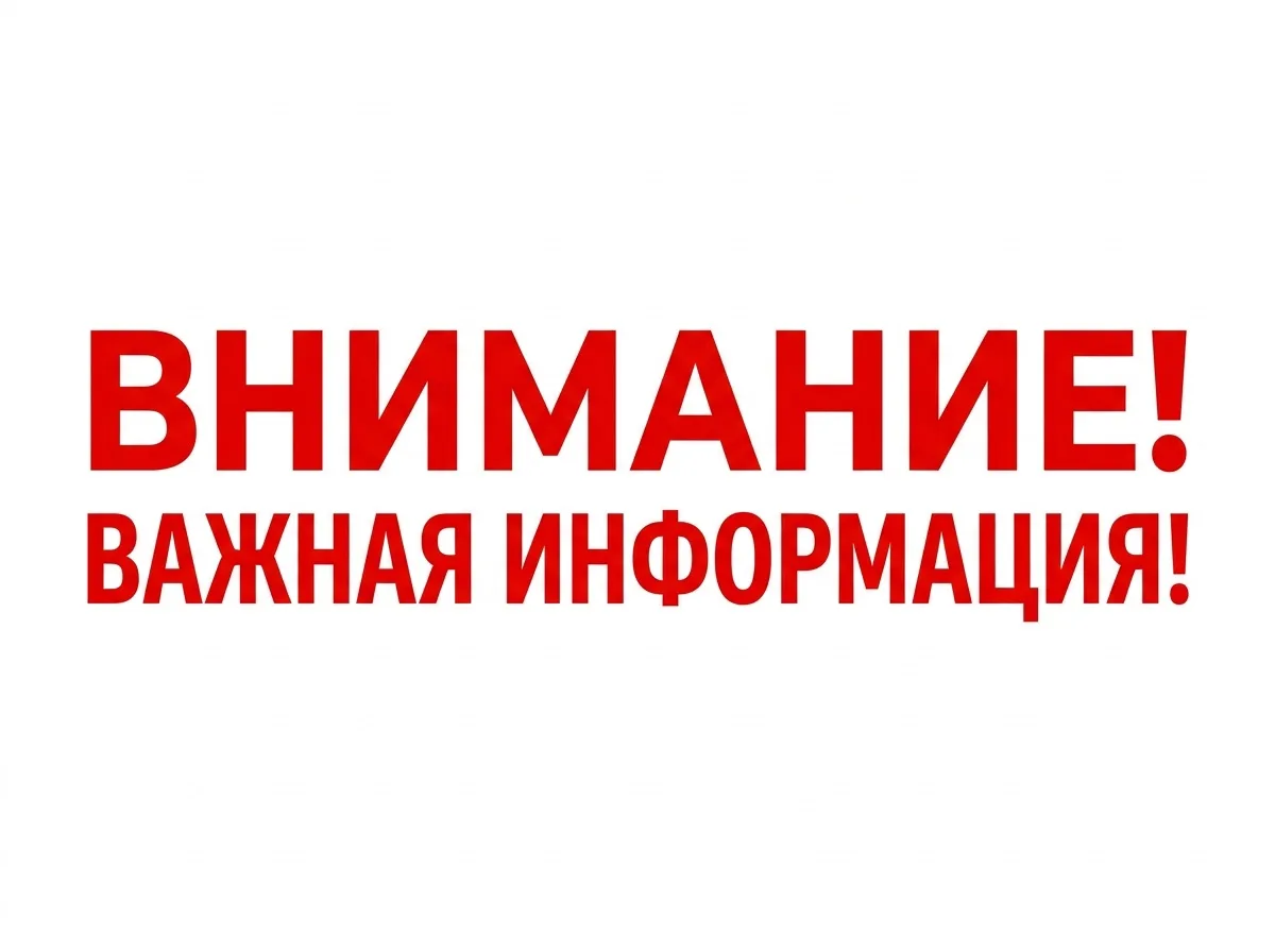 Паводок в Свердловской области: как безопасно утилизировать трупы животных и не допустить эпидемий

