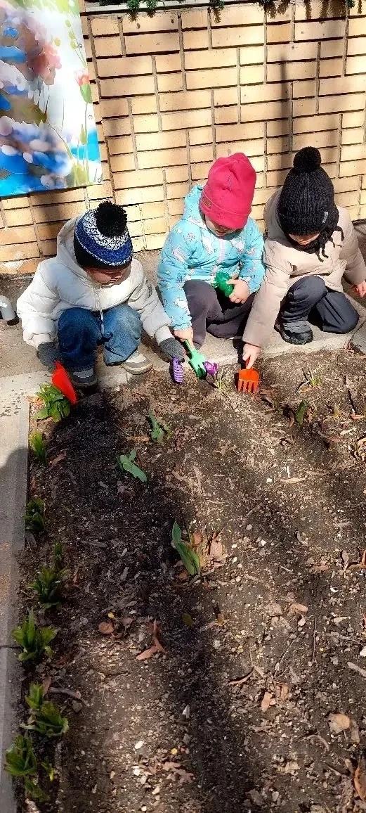 👩‍🌾 В саду — огородные страсти! 👨‍🌾  Весна вступает в свои права, а это значит, что наши грядки ждут