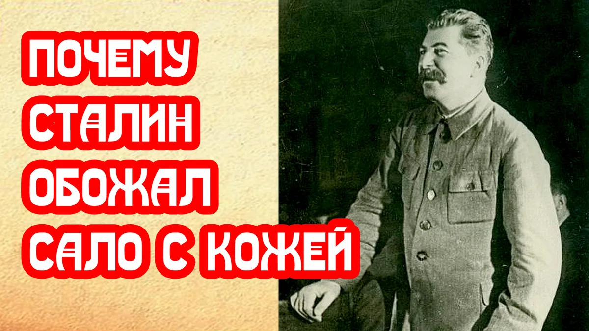 https://dzen.ru/a/apcm7zkWs2Owm7P4