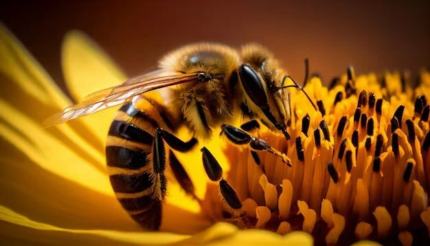 Как привлечь пчел и опылителей в сад 🐝🌻

Для хорошего урожая нужны опылители. Как привлечь пчел и 