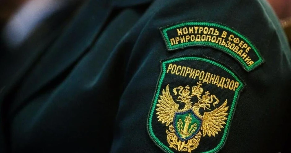 Птицефабрику «Ашкадарская» в Башкортостане проверяет Росприроднадзор

Сотрудники Центра лабораторног