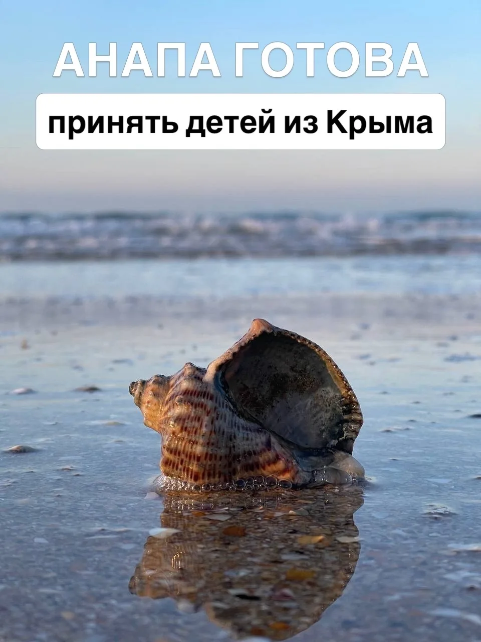 🏖 АНАПА ГОТОВА ПРИНЯТЬ ДЕТЕЙ ИЗ КРЫМА

В Республике Крым принято решение приостановить работу детск