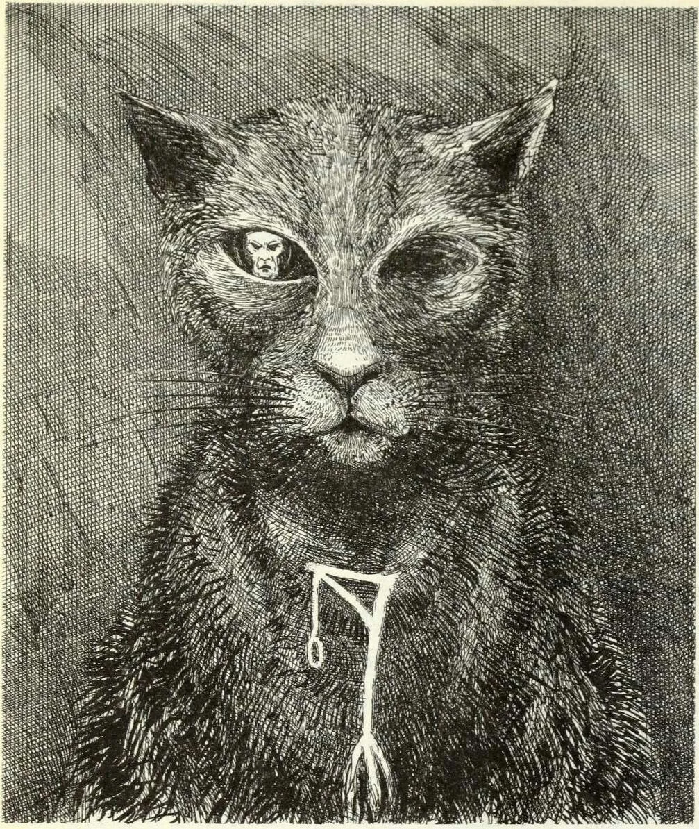 Ian Miller, The Black Cat, from ‘Tales of Mystery and Imagination’ retold by Margaret N...