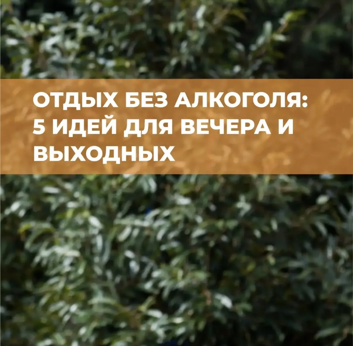 🏥 Отдых без алкоголя: 5 идей для вечера и выходных