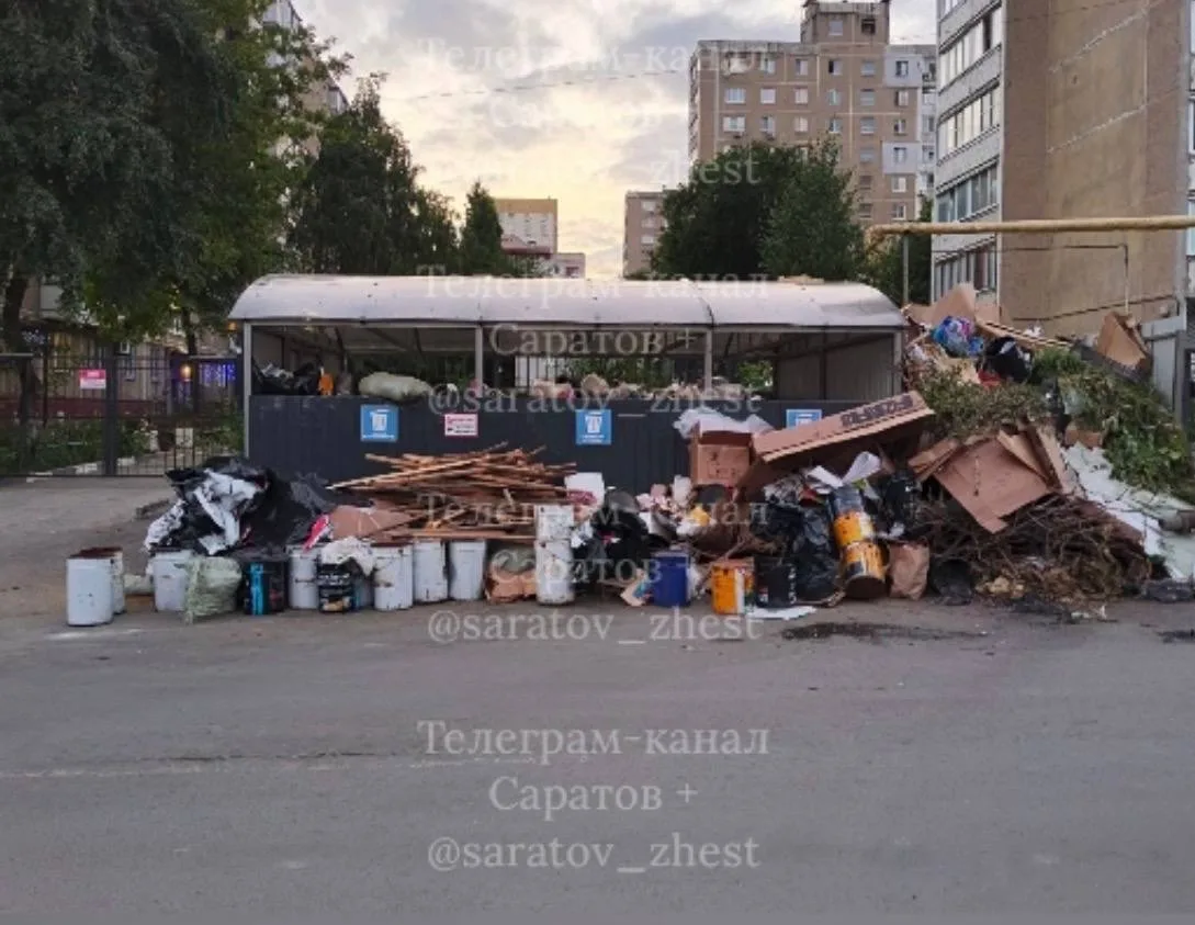 1️⃣2️⃣3️⃣4️⃣5️⃣По ул. Посадского 228/244 , мусор не вывозят стабильно, горы нечистот уж...