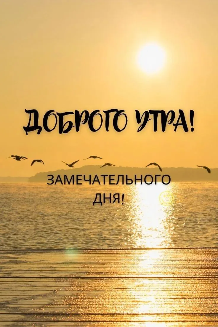 🌹Открытки и пожелания🌹

#доброеутро