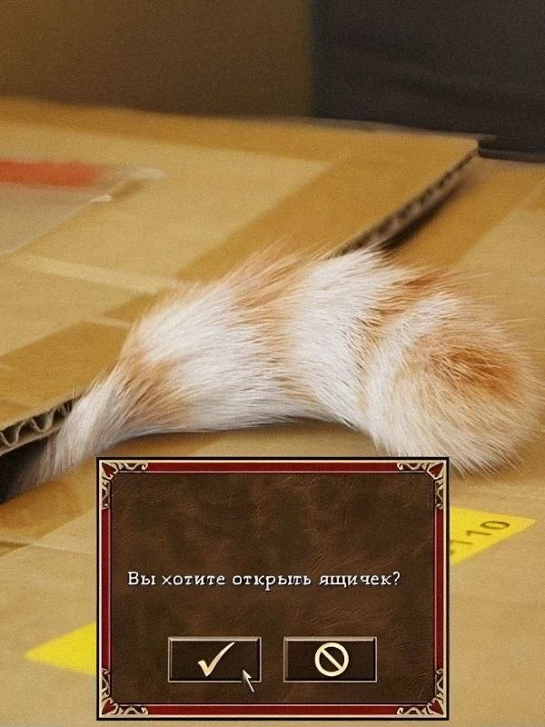 😺