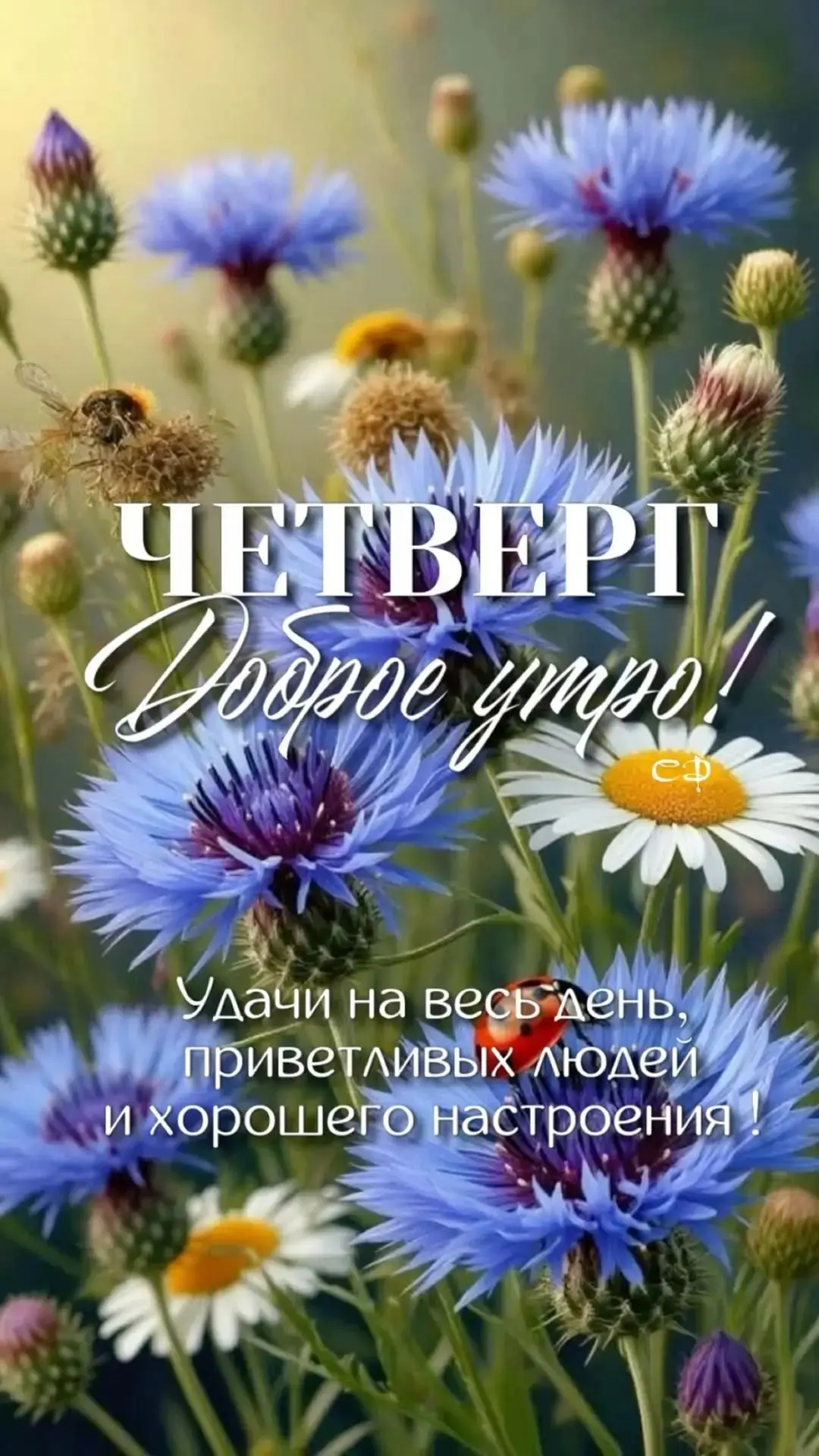 #сдобрымутром