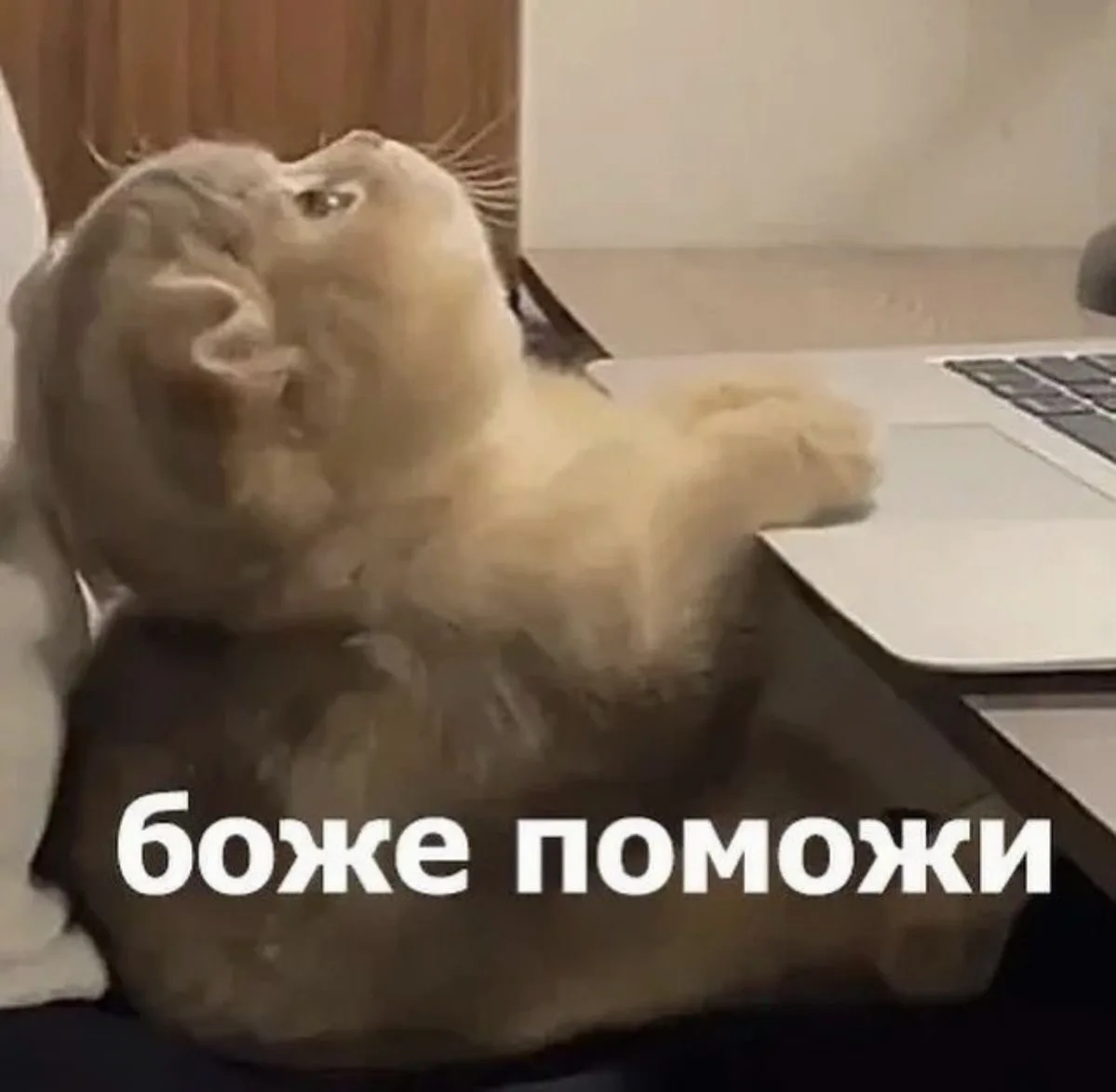 Pov: трудновые будни 🦦