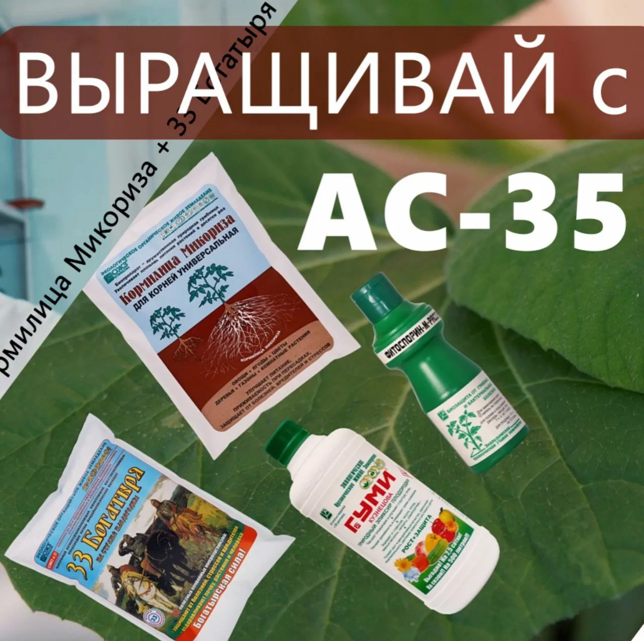Готовимся к высадке рассады в теплицы, изучаем новые методы посадки.