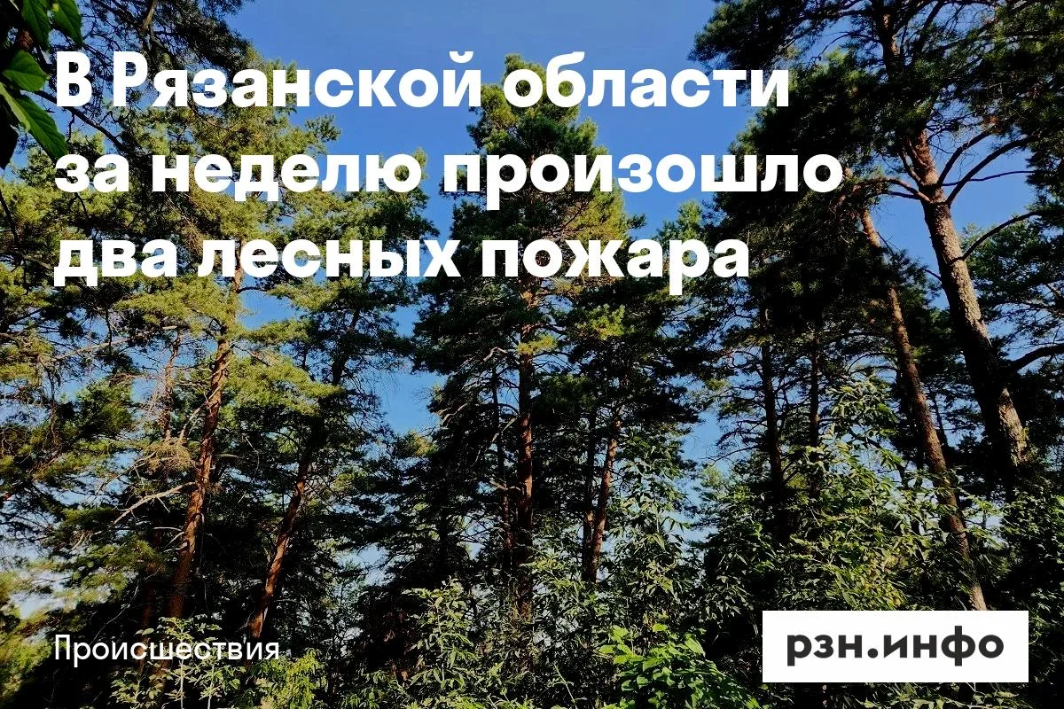 В Рязанской области за неделю произошло два лесных пожара
Первый пожар произошел 8 июня на территори