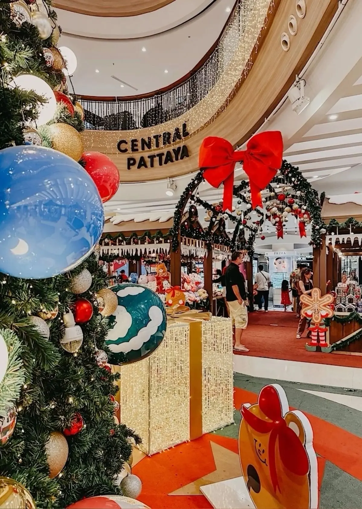 На 🎄НОВОГОДНИЕ КАНИКУЛЫ летим с АкадемВояж🧳