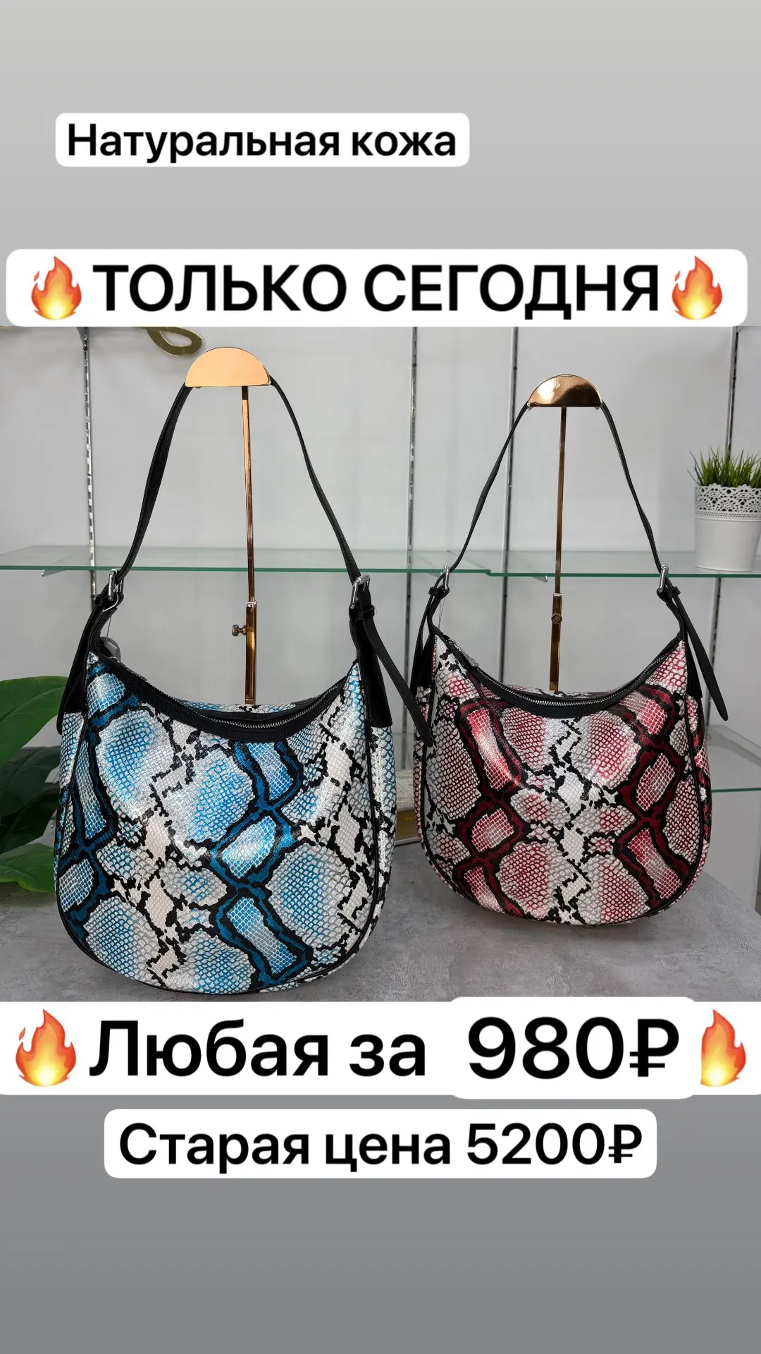 ‼️‼️ТОЛЬКО СЕГОДНЯ‼️‼️

              Любая за

🔥🔥🔥980₽🔥🔥🔥

Размер: 33*27*10 см.

Натуральная 