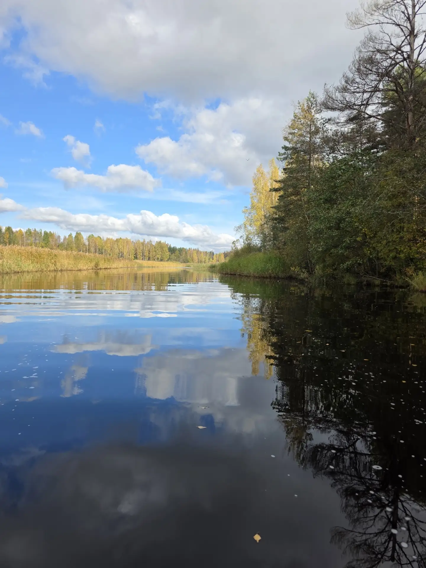 Осень 🍁 Оредеж