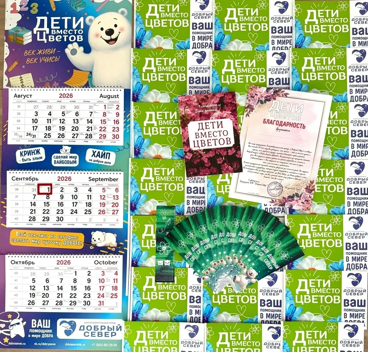 Сделаем 1 сентября Днём добрых дел!🌺