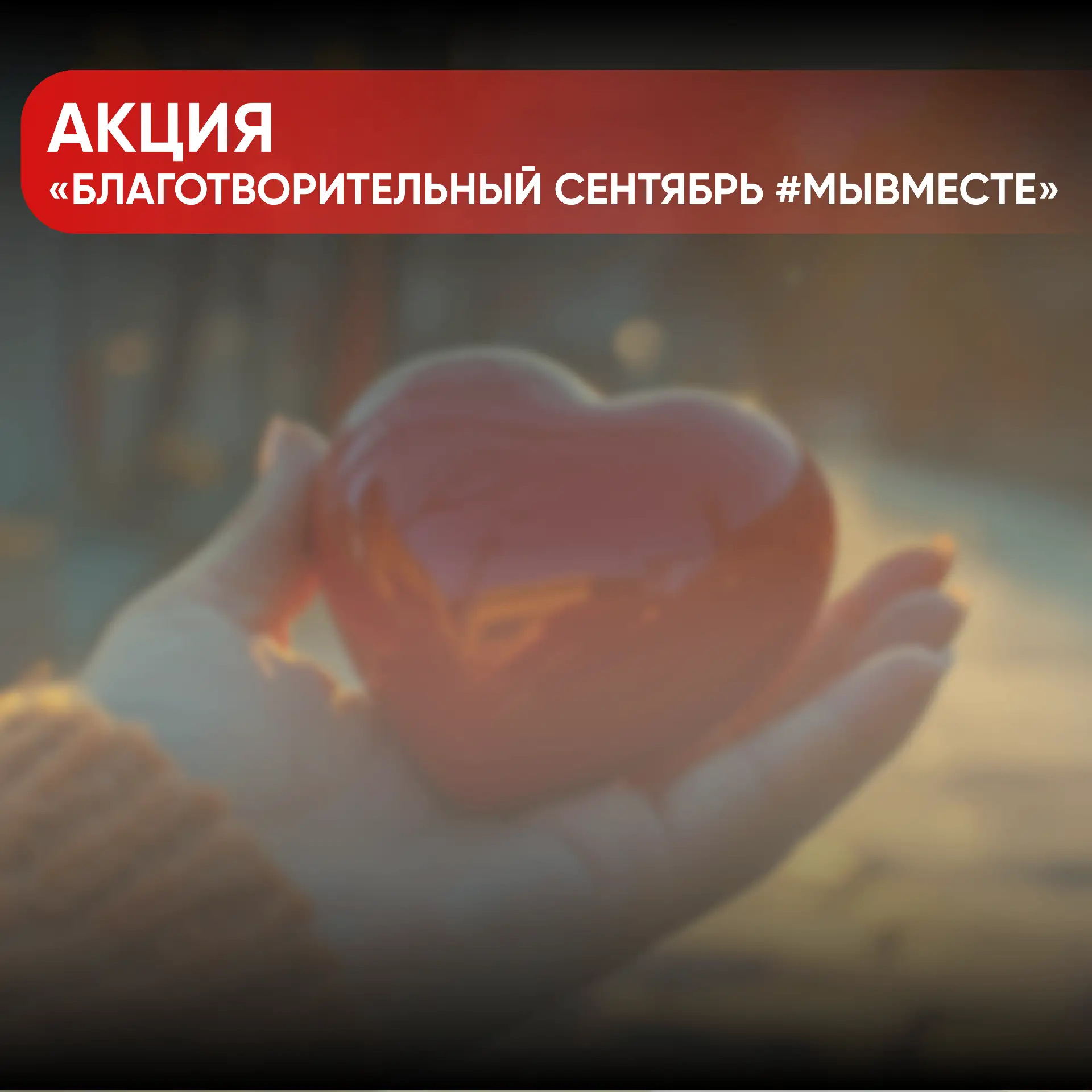 Предпринимателей Кубани приглашают присоединиться к акции «Благотворительный сентябрь #...