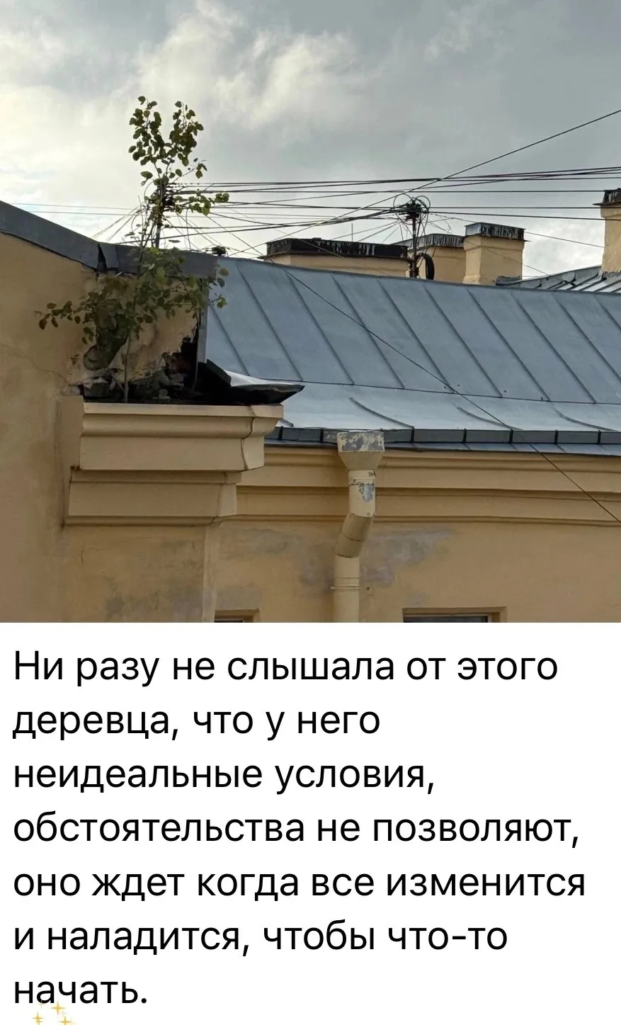 Обстоятельства всегда есть