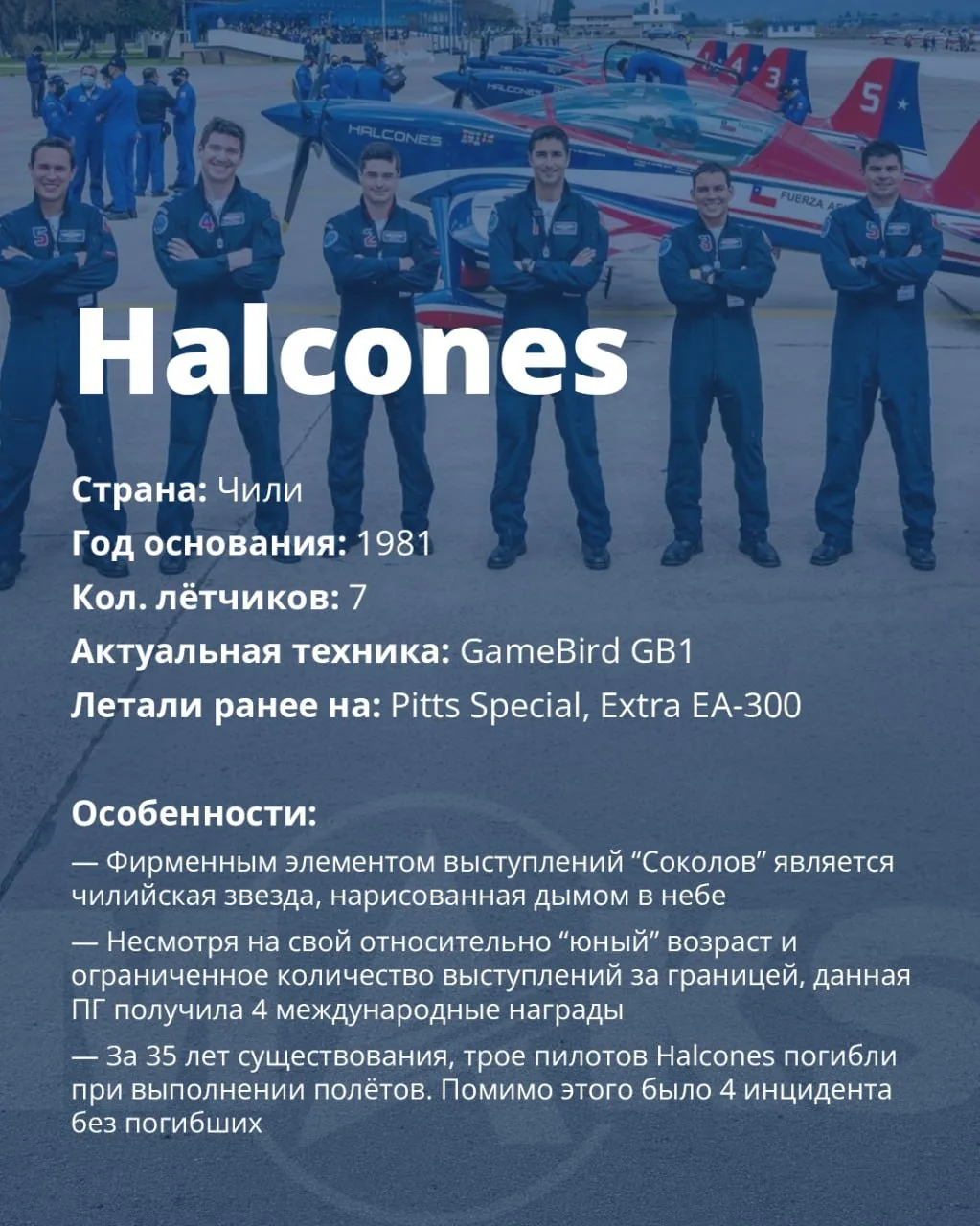 Профиль пилотажника: Halcones