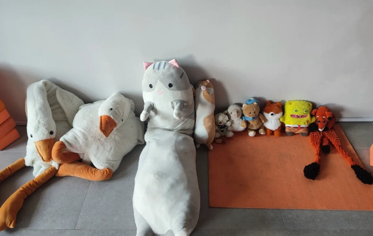 СЕГОДНЯ В LIS FAMILY: САМЫЙ УЮТНЫЙ ДЕНЬ С НАШИМИ ПЛЮШЕВЫМИ ДРУЗЬЯМИ! 🧸🧡